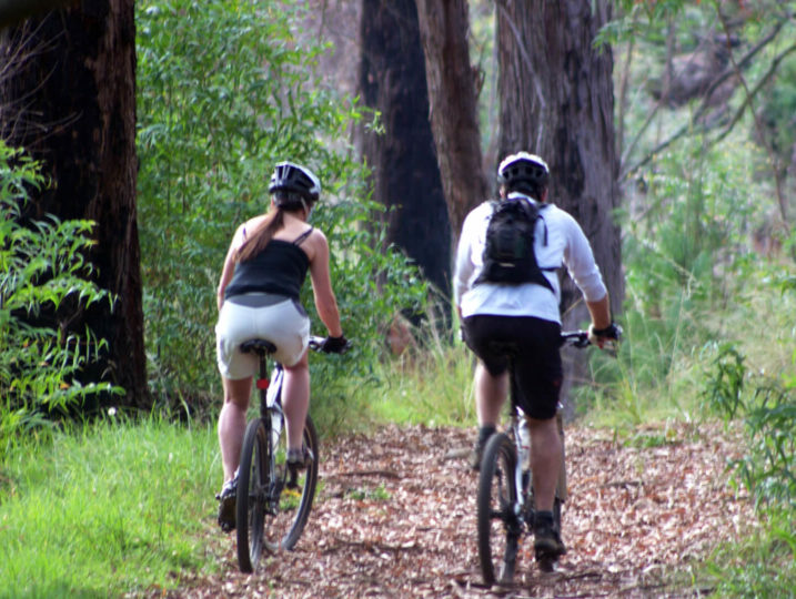Go Country Dullstroom Accommodation